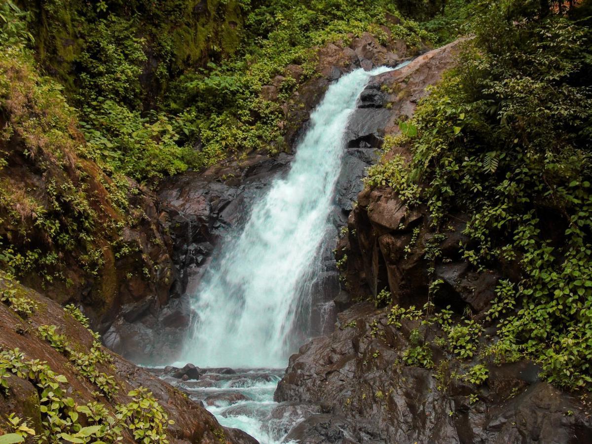 Cataratas Bijagua Lodge Bagian luar foto