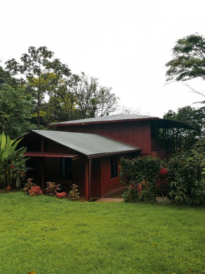 Cataratas Bijagua Lodge Bagian luar foto