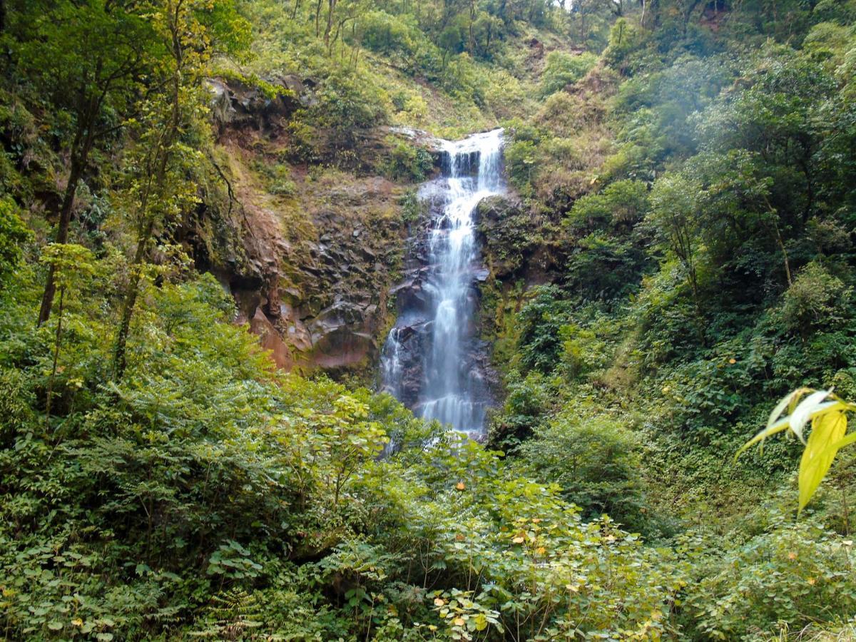 Cataratas Bijagua Lodge Bagian luar foto