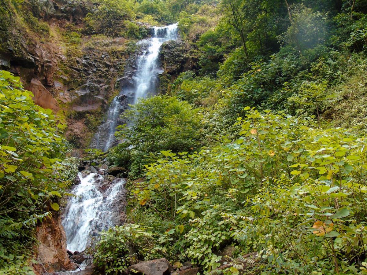 Cataratas Bijagua Lodge Bagian luar foto