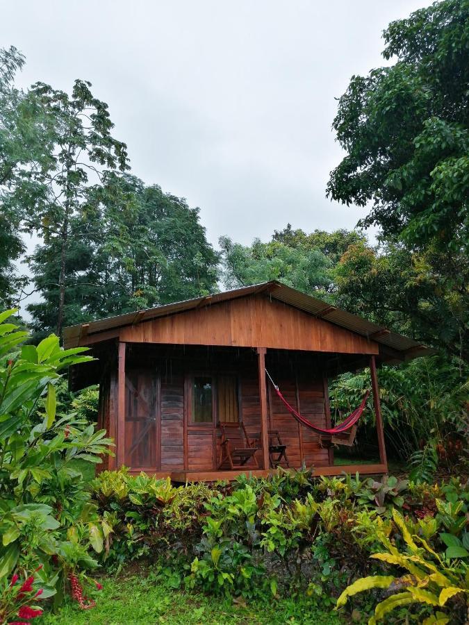 Cataratas Bijagua Lodge Bagian luar foto